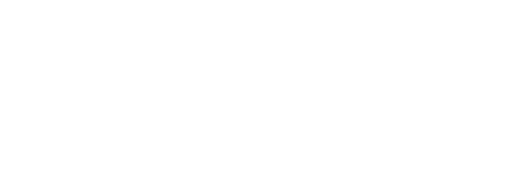 Champion_254x96icon1